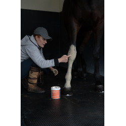 Klei Alodis Care Tendi Flash