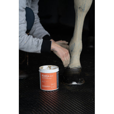 Klei Alodis Care Tendi Flash