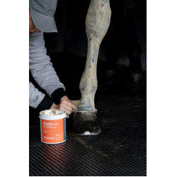 Klei Alodis Care Tendi Flash