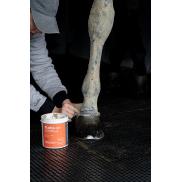 Klei Alodis Care Tendi Flash