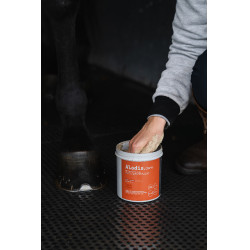 Klei Alodis Care Tendi Flash