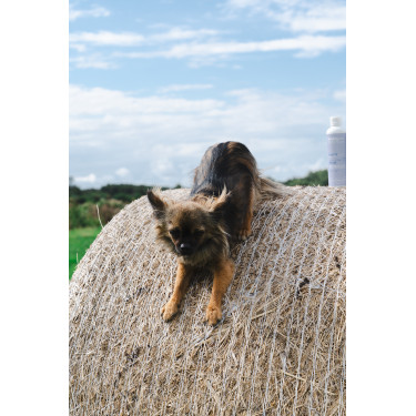 Baume Alodis Care Cani Stress voor honden Baume Alodis Care Cani Stress voor honden