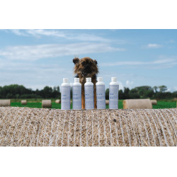 Baume Alodis Care Cani Stress voor honden Baume Alodis Care Cani Stress voor honden