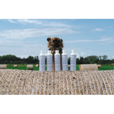 Baume Alodis Care Cani Stress voor honden Baume Alodis Care Cani Stress voor honden
