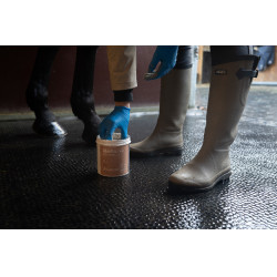 Argile Alodis Care Hoof Clay