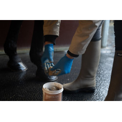 Argile Alodis Care Hoof Clay