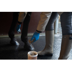 Argile Alodis Care Hoof Clay