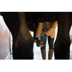 Argile Alodis Care Hoof Clay