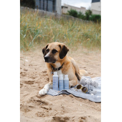 Gel Alodis Care Cani Reparatie