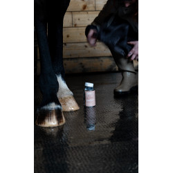 Huile Alodis Care Fourchette Clean Huile Alodis Care Fourchette Clean