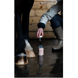 Huile Alodis Care Fourchette Clean Huile Alodis Care Fourchette Clean