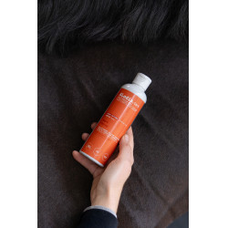 Huile Alodis Care Work Recup Huile Alodis Care Work Recup