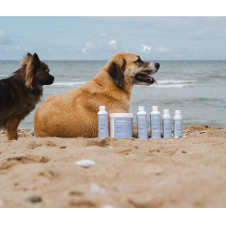 Shampoing Alodis Care Cani Soap pour chien Shampoing Alodis Care Cani Soap pour chien