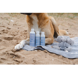 Shampoing Alodis Care Cani Soap pour chien Shampoing Alodis Care Cani Soap pour chien