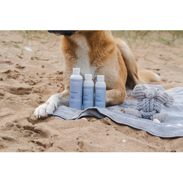 Shampoo Alodis Care Cani Soap voor honden