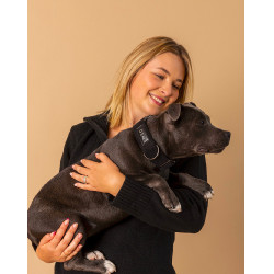 Collier GEM chien Noir Collier GEM chien Noir