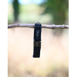 Collier GEM chien Noir Collier GEM chien Noir