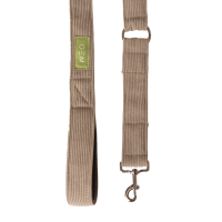 Laisse GEM chien Kaki