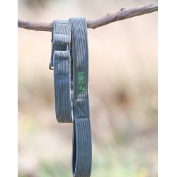 Laisse GEM chien Kaki