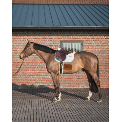 Tapis GEM Leo obstacle Bleu ciel