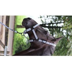 Longe d'attache Lami-Cell Midnight Bleu ardoise Longe d'attache Lami-Cell Midnight Bleu ardoise