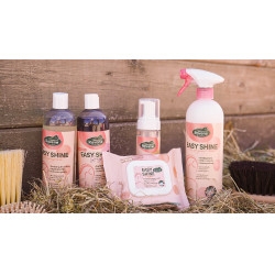 Easy Shine Wipe Ravene Reinigingsdoekjes