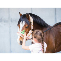 Gel répulsif chevaux Émouchine Ravene + éponge