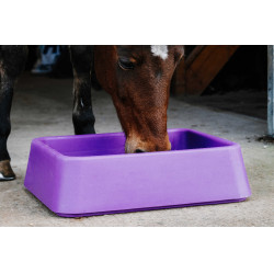 Mangeoire anti-glouton Hippotonic Violet