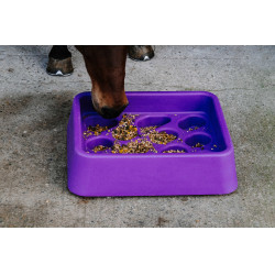 Mangeoire anti-glouton Hippotonic Violet