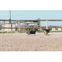 Hondendeken Equithème Eco 600D Hondendeken Equithème Eco 600D