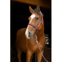 Licol + longe Norton Brillant Noir / gris / argent Licol + longe Norton Brillant Noir / gris / argent