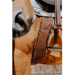 Anatomische singel Magnet Norton Havana Bruin