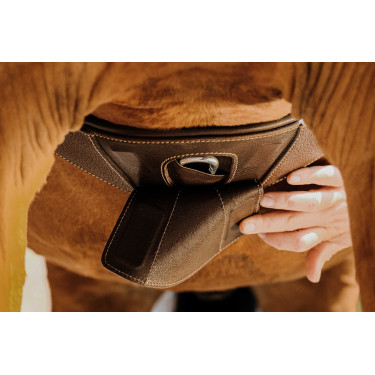 Sangle anatomique Magnet Norton Havane Marron