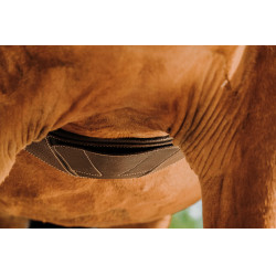 Anatomische singel Magnet Norton Havana Bruin