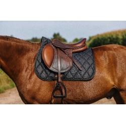 Zadeldoek Riding World School Zadeldoek Riding World School