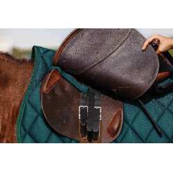 Tapis de selle Riding World School Vert foncé