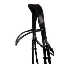 Frontal Montar Fair marine crystal curvé