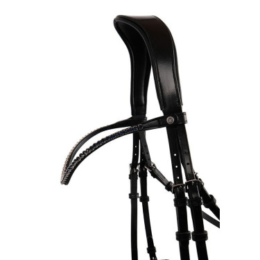 Frontal Montar Fair marine crystal curvé