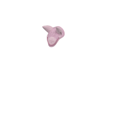Vliegenmasker voor speelgoed Mini Pony LeMieux Bloesem Roze