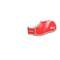 Winners deken voor Mini Poney speelgoed LeMieux Rood Winners deken voor Mini Poney speelgoed LeMieux Rood