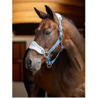 Halster en leadrope LeMieux Vogue Esme Blauw maïs