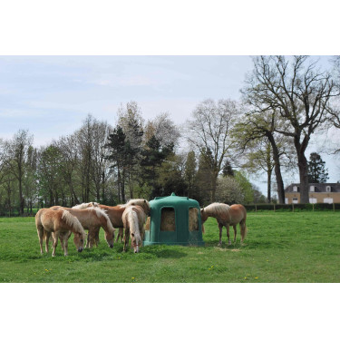 Ratelier à foin dans le pré avec chevaux