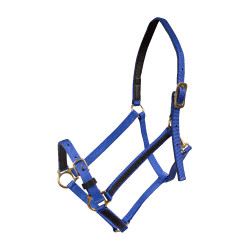 Halster Yankee Finn-Tack Pro nylon met open neusriem