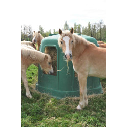 Ratelier hexagonal avec cheval mangeant le foin
