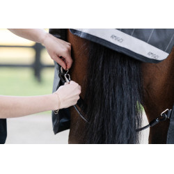 Dijgordel Horseware Zwart Dijgordel Horseware Zwart