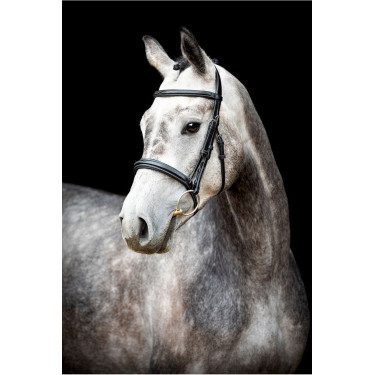 Bridon Montar Hunter Bridon Montar Hunter