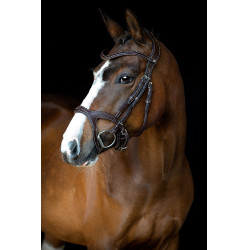 Bridon Montar Monarch leer organisch gelooid Bruin Bridon Montar Monarch leer organisch gelooid Bruin