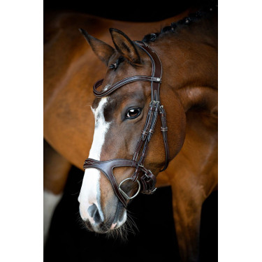 Bridon Montar Monarch leer organisch gelooid Bruin Bridon Montar Monarch leer organisch gelooid Bruin