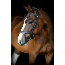 Bridon Montar Monarch leer organisch gelooid Bruin Bridon Montar Monarch leer organisch gelooid Bruin