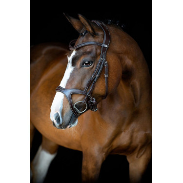 Bridon Montar Monarch leer organisch gelooid Bruin Bridon Montar Monarch leer organisch gelooid Bruin